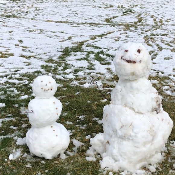 Meet your Posher, Laura - Picture 1 of 1